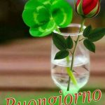 buongiorno