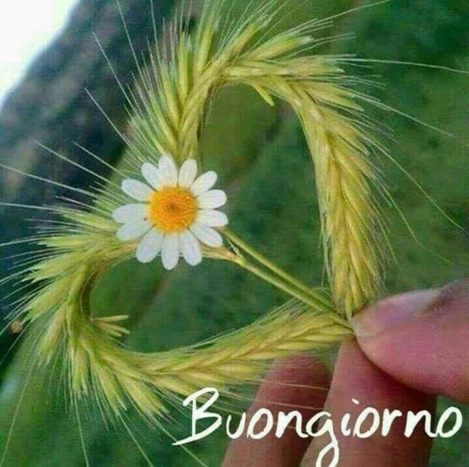 buongiorno immagini
