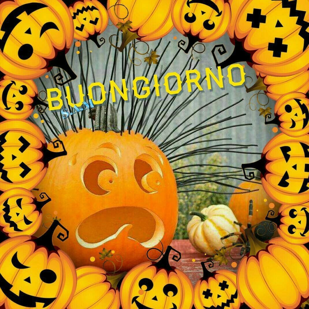 immagine di buongiorno halloween zucca paurosa