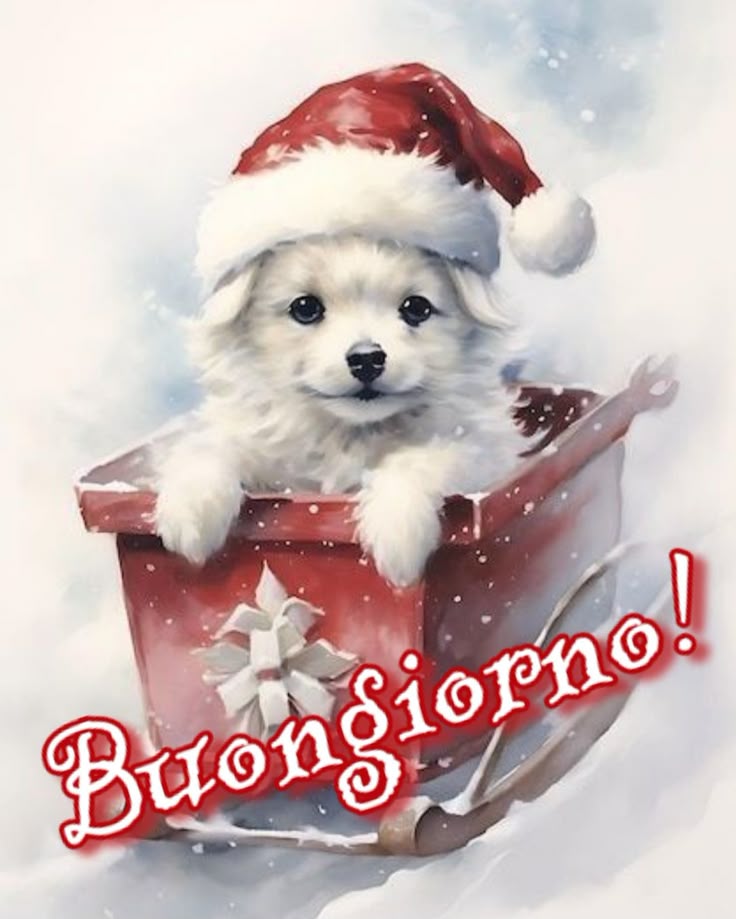 immagine di buongiorno natalizio