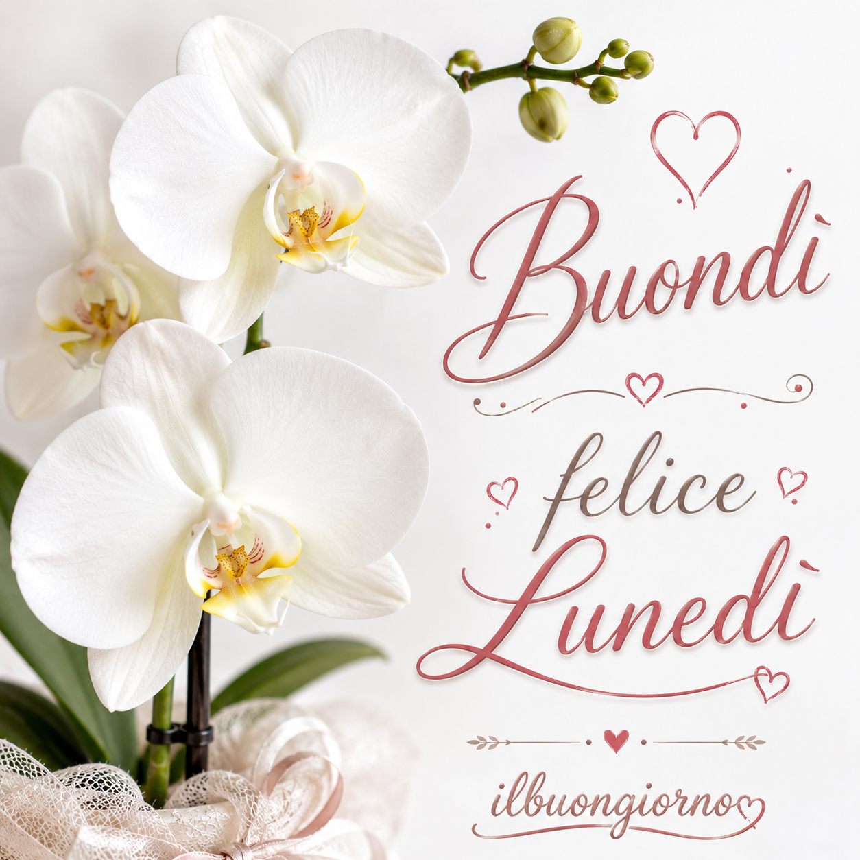 immagine di buongiorno buon lunedì